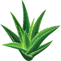 feature icon